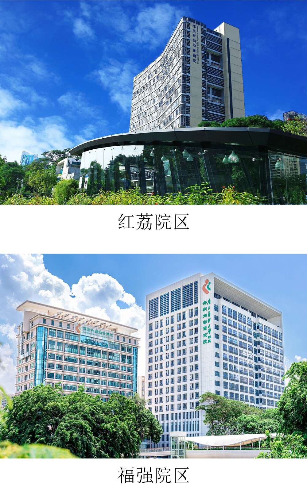 两院区组图（官网简介）2.jpg